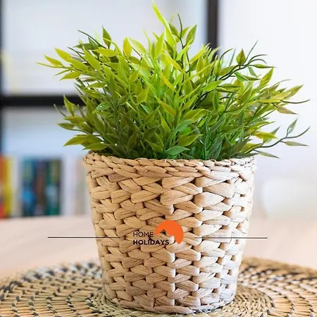 #005 Foxy B By Holidays *