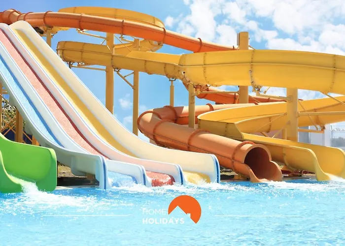 #005 Foxy B By Holidays