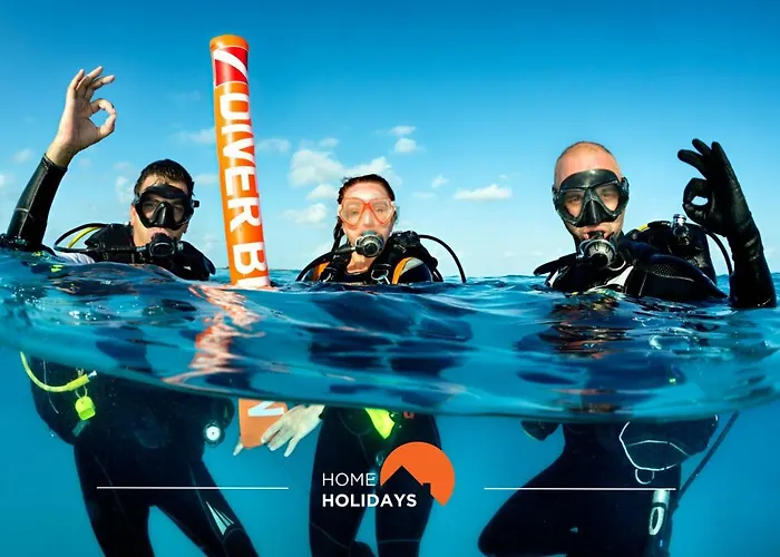 #005 Foxy B By Holidays 알부페이라