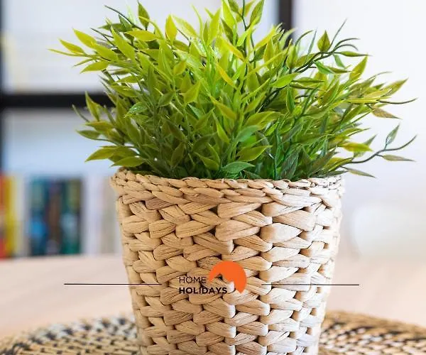 #005 Foxy B By Holidays *